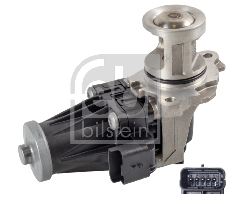 EGR Valve